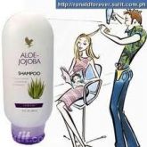 Aloe Jojoba Shampoo
